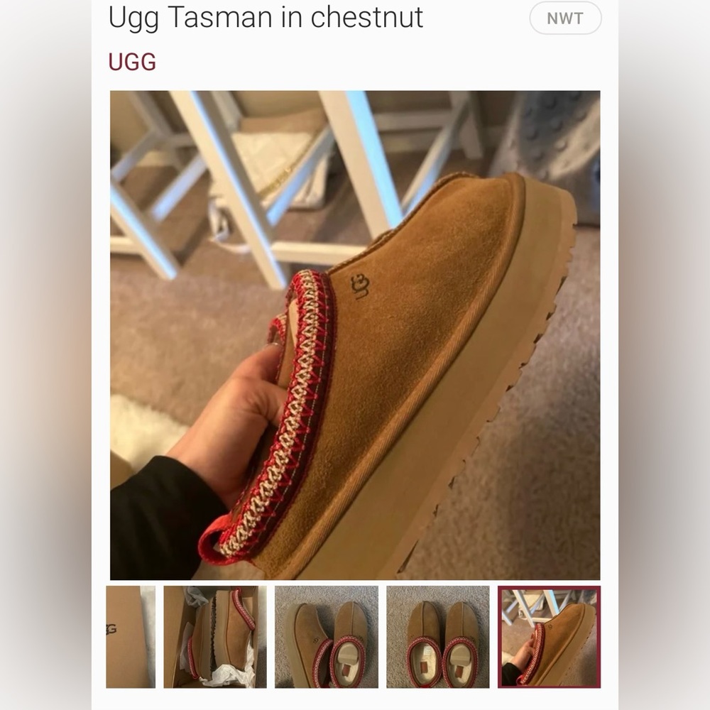 Ugg tasman